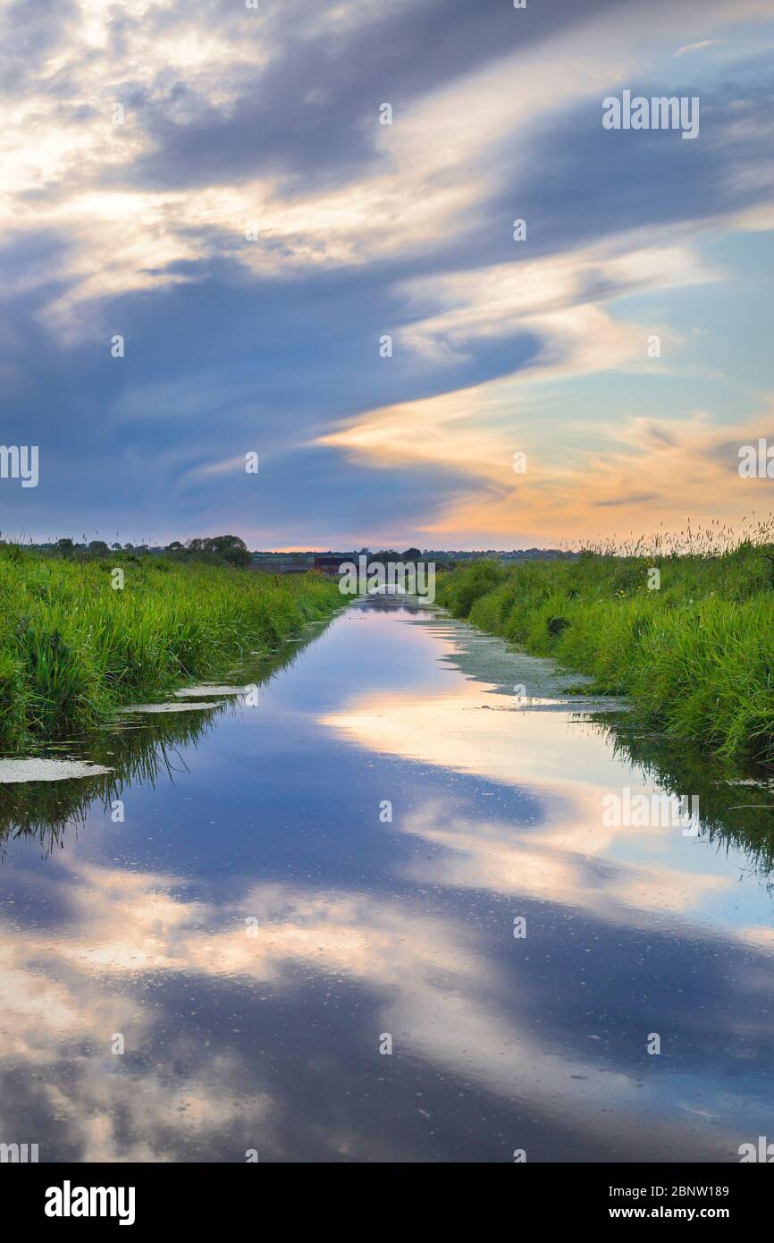 Ein typischer Drainagerauge auf den Somerset-Ebenen mit dramatischen Himmel spiegelt sich im Wasser (Hochformat) Stockfoto