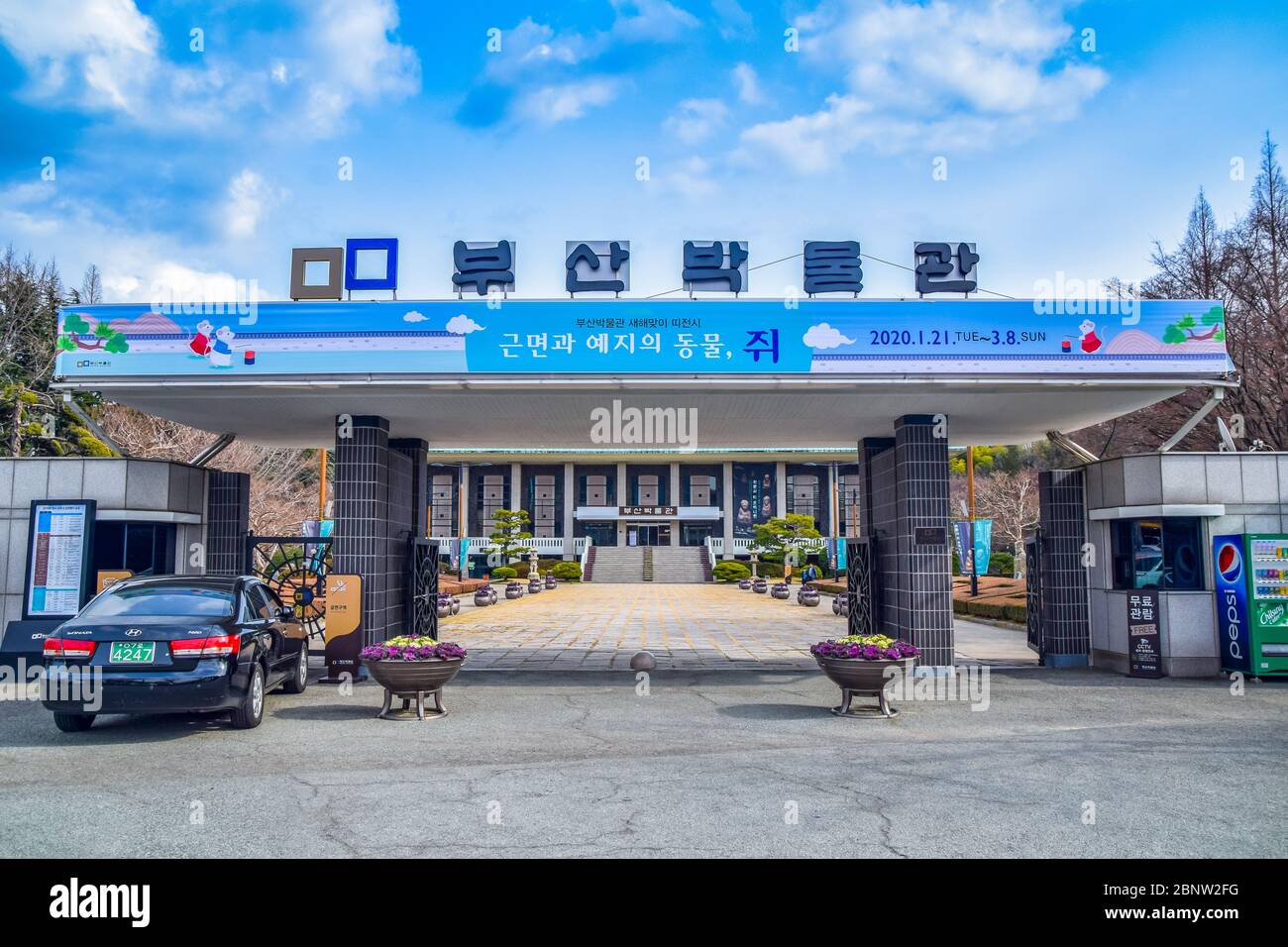 Busan, Südkorea 1/17/2020 Eingang Zum Busan Museum Stockfoto