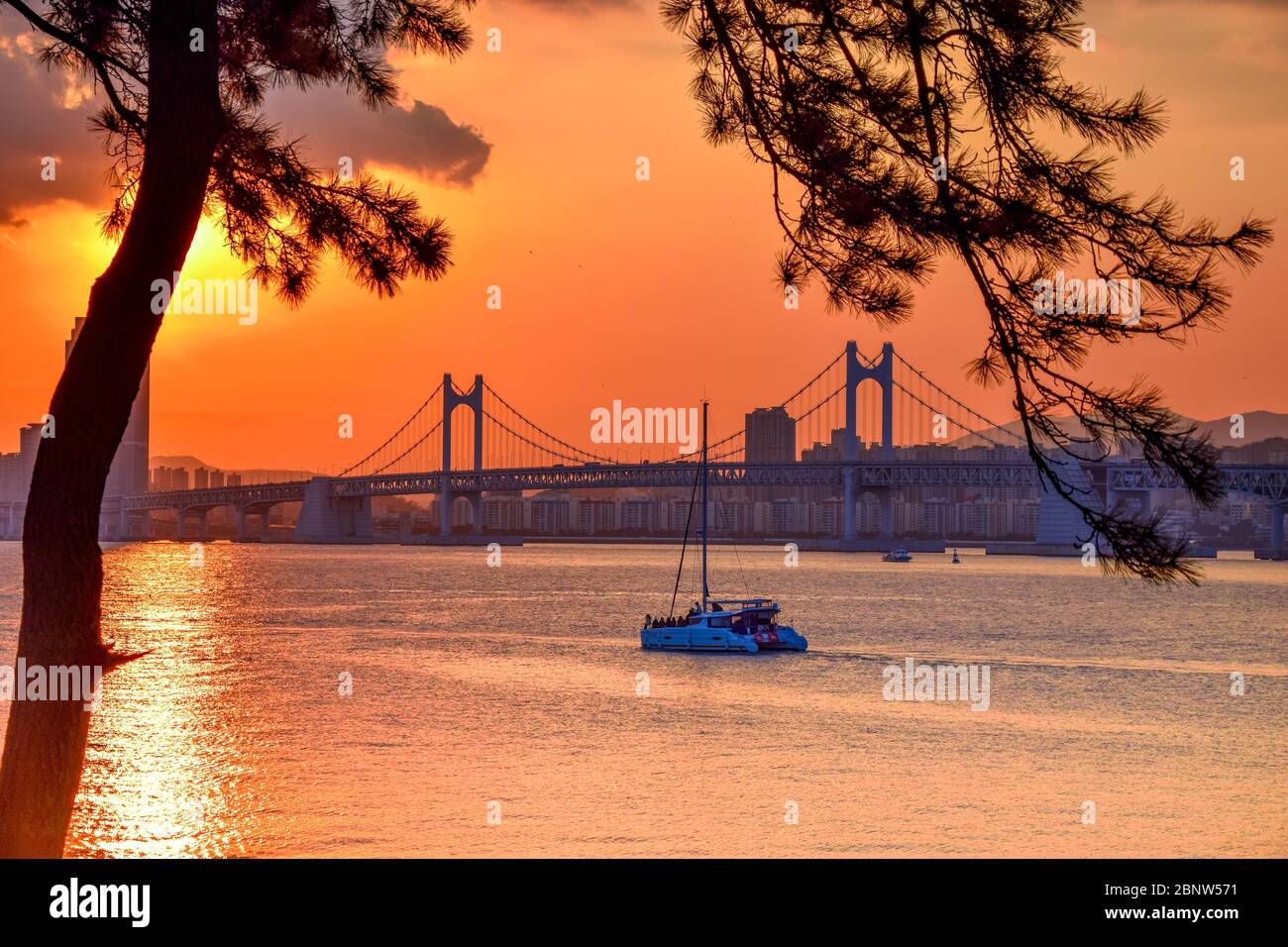 Gwangan Bridge und Haeundae bei Sonnenuntergang, Busan City, Südkorea. Stockfoto
