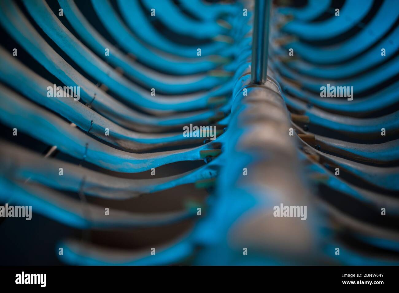 Ein Skelett eines menschlichen Körpers mit blauem und gelbem Licht. Stockfoto