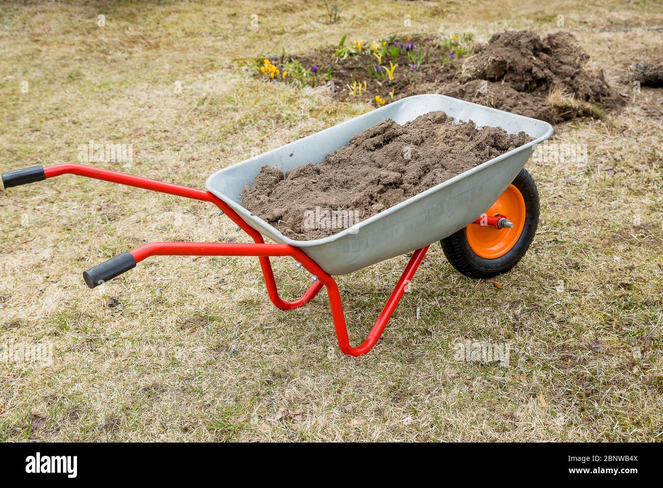 Gartenwagen mit Erde steht auf dem Rasen. Metallwagen mit Humus im