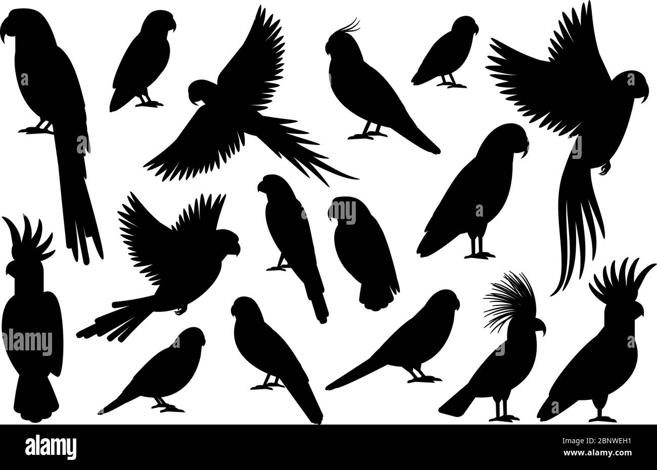Vektor Papagei Silhouetten von amazonas Dschungel isoliert auf weißem Hintergrund Stock Vektor