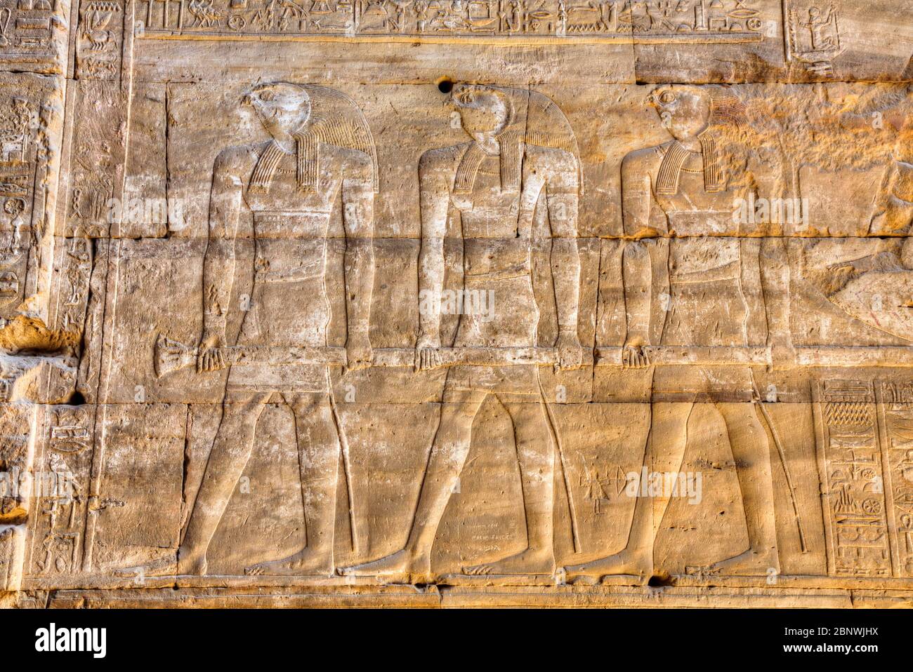 Der Gott Horus, Bas Reliefs, Heiligtum von Horus, Tempel von Horus, Edfu, Ägypten Stockfoto