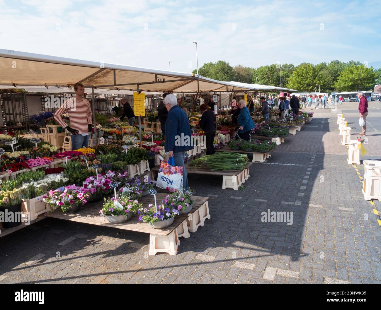 Hellevoetlsuis,16-May-2020:der Blumenmarkt mit den Ständen in großer Entfernung und alles auf 1.5 Metern wegen der Koronagröße Regeln, ist dies auf das Virus zurückzuführen Stockfoto