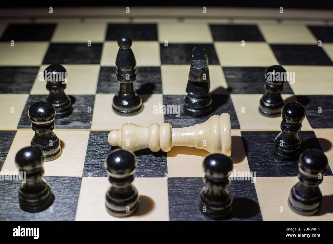 Weiße Königin fiel auf das Schachbrett und um die schwarzen Stücke Stockfoto