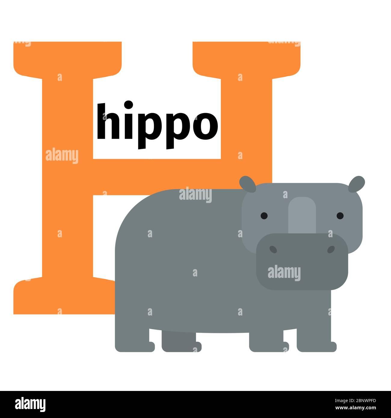 Englische Tiere Zoo Alphabet mit Buchstaben H. Hippo Vektor-Illustration Stock Vektor