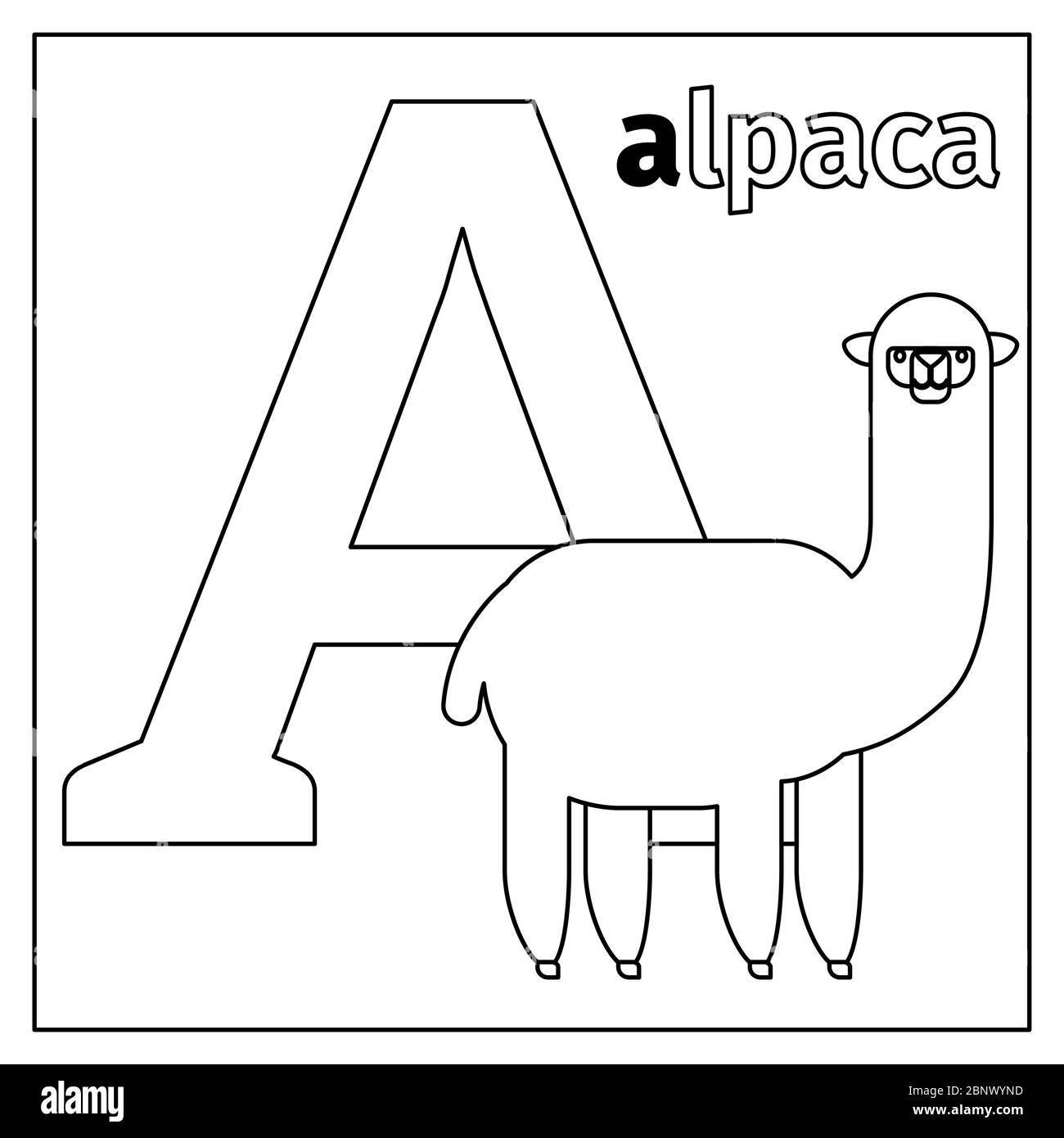 Malvorlagen oder Karten für Kinder mit englischen Tieren Zoo Alphabet. Alpaca, Buchstabe EINE Vektorgrafik Stock Vektor