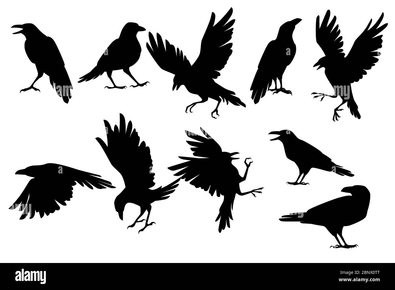 Set von schwarzen Silhouette Rabe Vogel in verschiedenen Posen Cartoon Krähe Design flache Vektor Tier Illustration isoliert auf weißem Hintergrund Stock Vektor