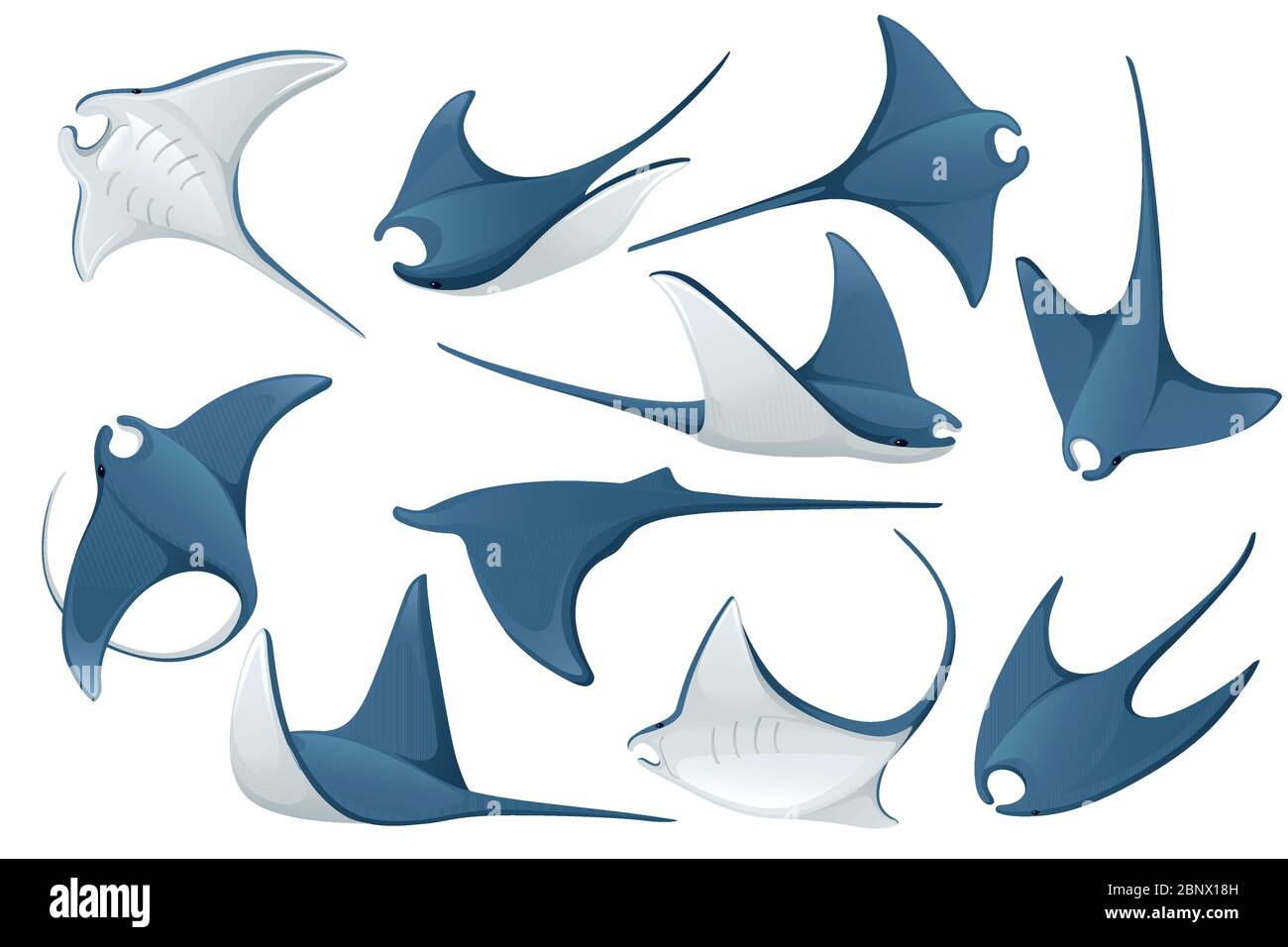Set von Manta ray Unterwasser Riesentier mit Flügeln einfache Cartoon Charakter Design flache Vektor-Illustration isoliert auf weißem Hintergrund Stock Vektor