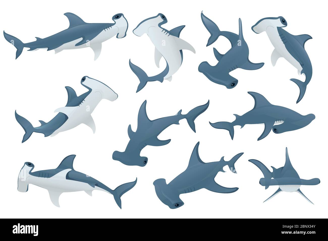 Set von Hammerhai Unterwasser-Riesentier einfache Cartoon Charakter Design flache Vektor-Illustration isoliert auf weißem Hintergrund Stock Vektor