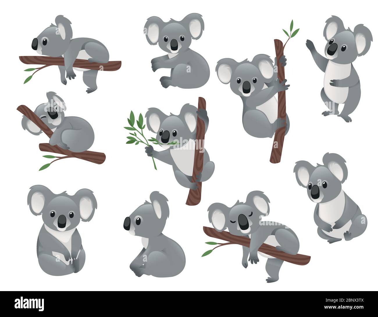 Set von niedlichen grauen Koala Bär in verschiedenen Posen essen schlafende Blätter Cartoon Tier Design flache Vektor-Illustration auf weißem Hintergrund isoliert Stock Vektor