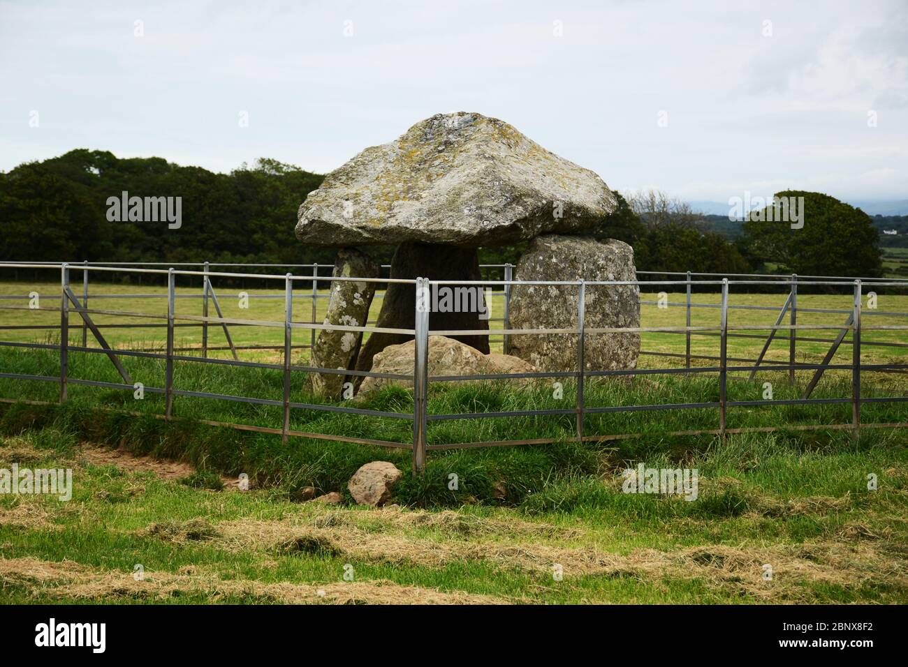Die neolithische Grabkammer von Bodowyr in Llangaffo auf der Isle of Anglesey in Nordwales besteht aus 5 Steinen Stockfoto