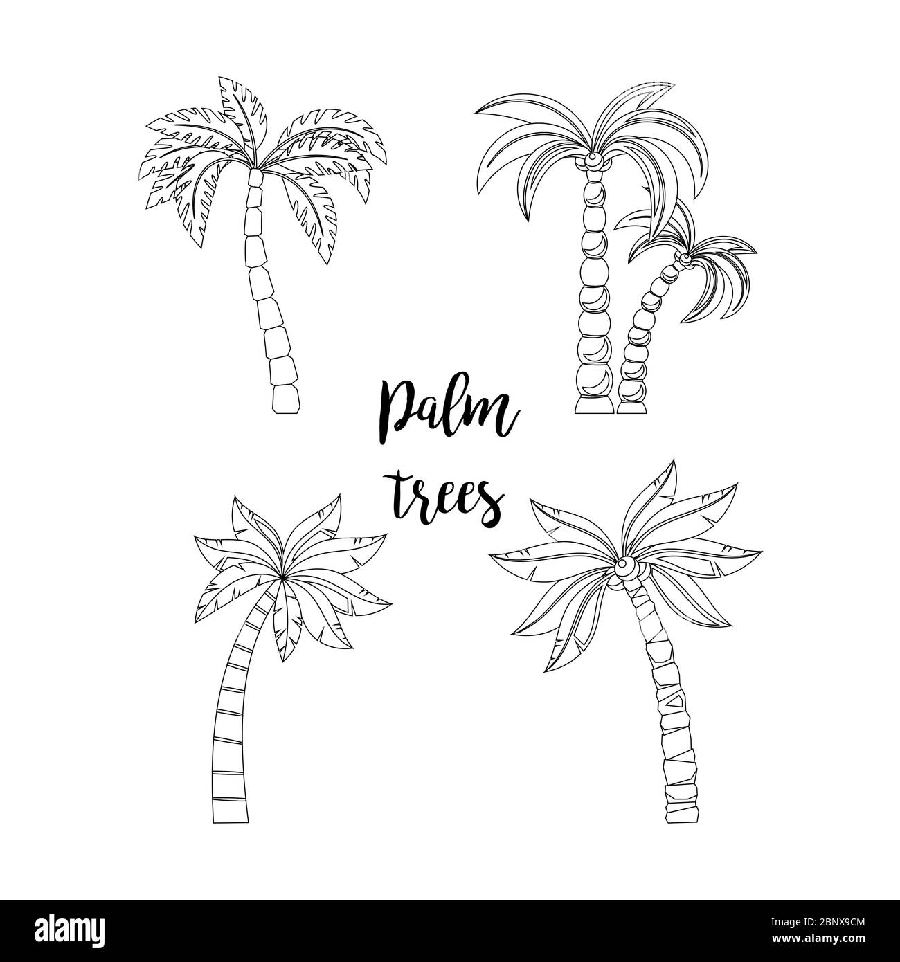 Palmen wunderschön gelegen. Elemente zum Ausmalen von Buchseiten Palmen wunderschön gelegen. Elemente zum Ausmalen von Buchseiten
