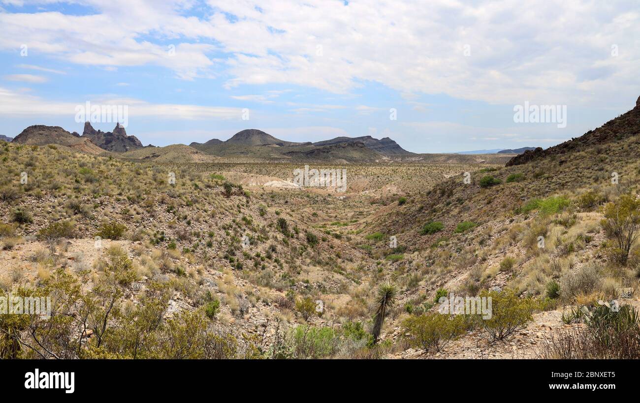 Maultier Ears Peaks in der linken Entfernung entlang des Ross Maxwell Scenic Drive im Bog Bend National Park Stockfoto