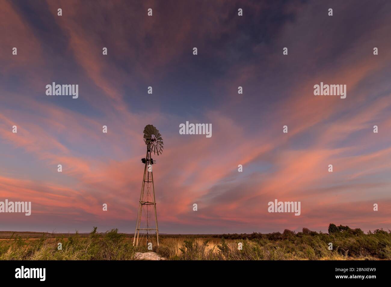 Windmühle in karoo unter rosa bewölktem Himmel Landschaft Stockfoto