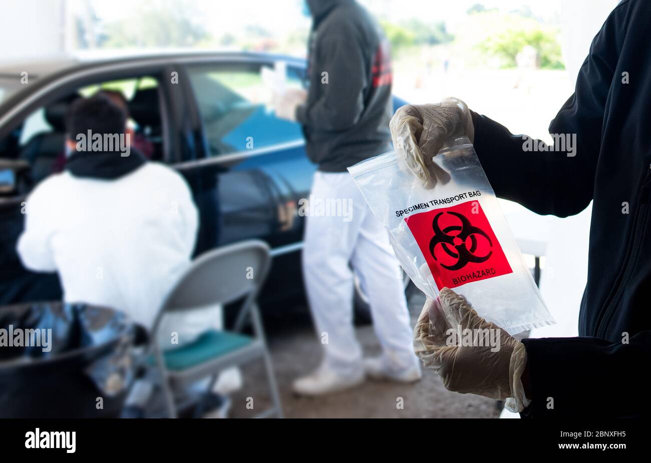 Hände halten Blutprobe an einem Covid 19 Drive durch Teststelle in Kalifornien. Stockfoto