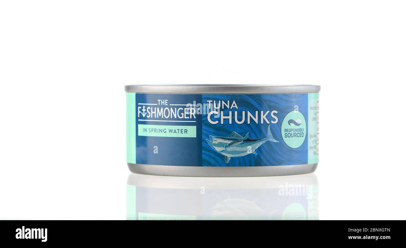 Der Fischhändler Thunfisch in Quellwasser Zinn isoliert auf einem weißen Hintergrund im Studio mit Reflexion aufgenommen. Stockfoto