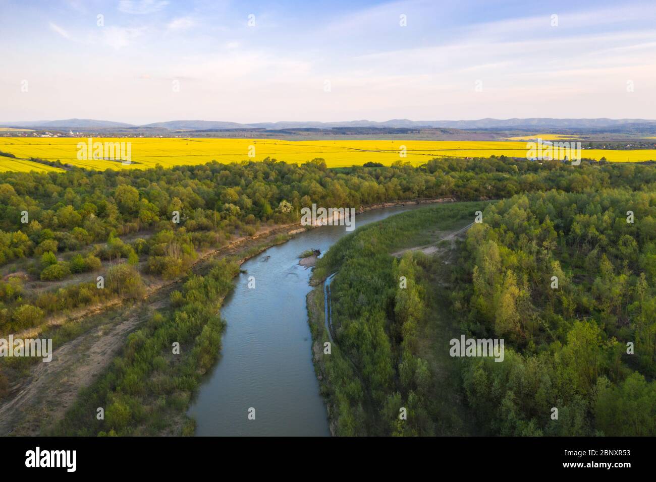 Flug durch den majestätischen Fluss Dnister, üppig grünen Wald und blühende gelbe Rapsfelder bei Sonnenuntergang. Ukraine, Europa. Landschaftsfotografie Stockfoto