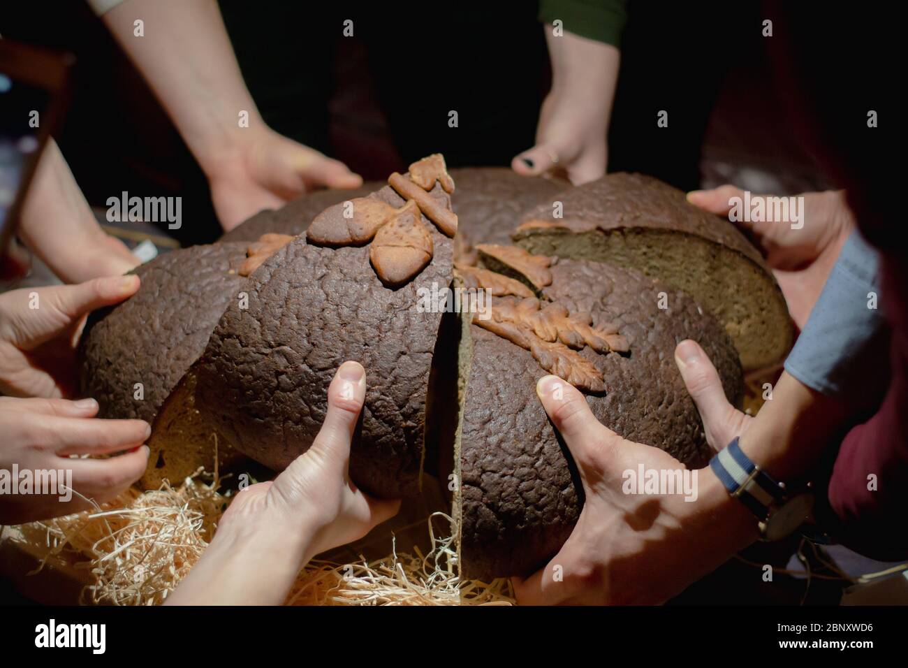 Mehrere junge Hände teilen braunes Rundbrot Stockfoto
