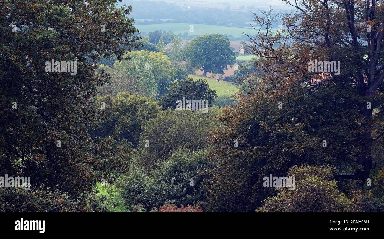 Die Aussicht von der Zufahrt in Appuldurcombe Park ist ein Überbleibsel von Capability Brown's Landschaftsgestaltung Stockfoto