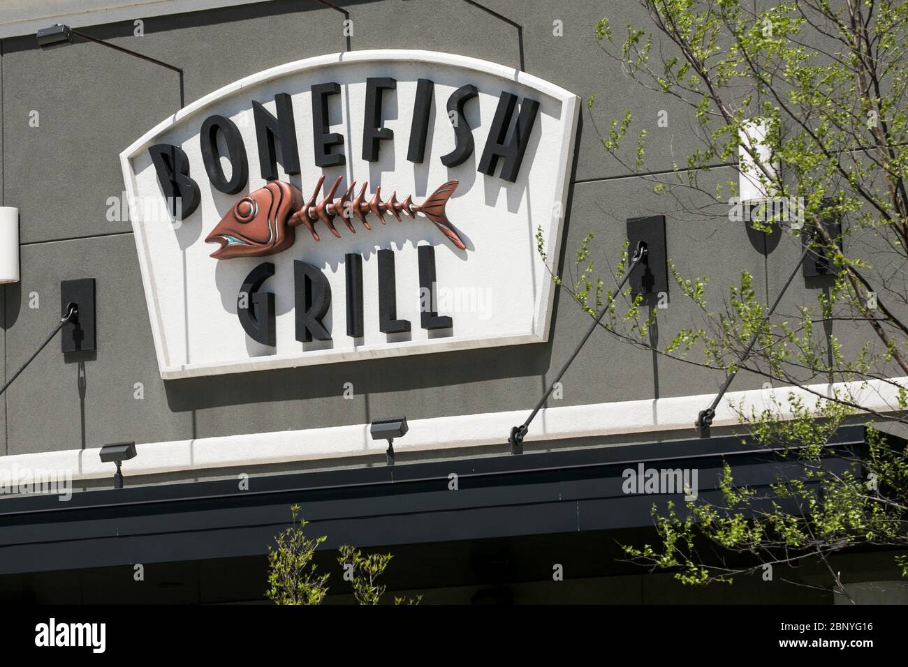 Ein Logo-Schild vor einem Bonefish Grill Restaurant in Camp Hill, Pennsylvania am 4. Mai 2020. Stockfoto