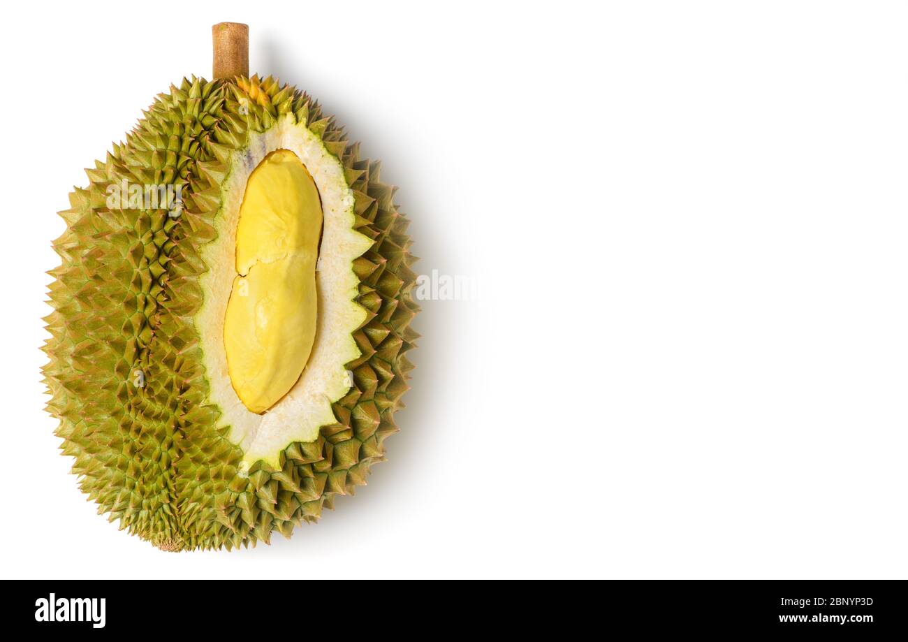 König der Früchte, Gelbe Durian in Side Mon Thong Durian Früchte isoliert auf weißem Hintergrund, Sommerfrüchte, beliebt und teuer von allen Thai-Früchten. Stockfoto