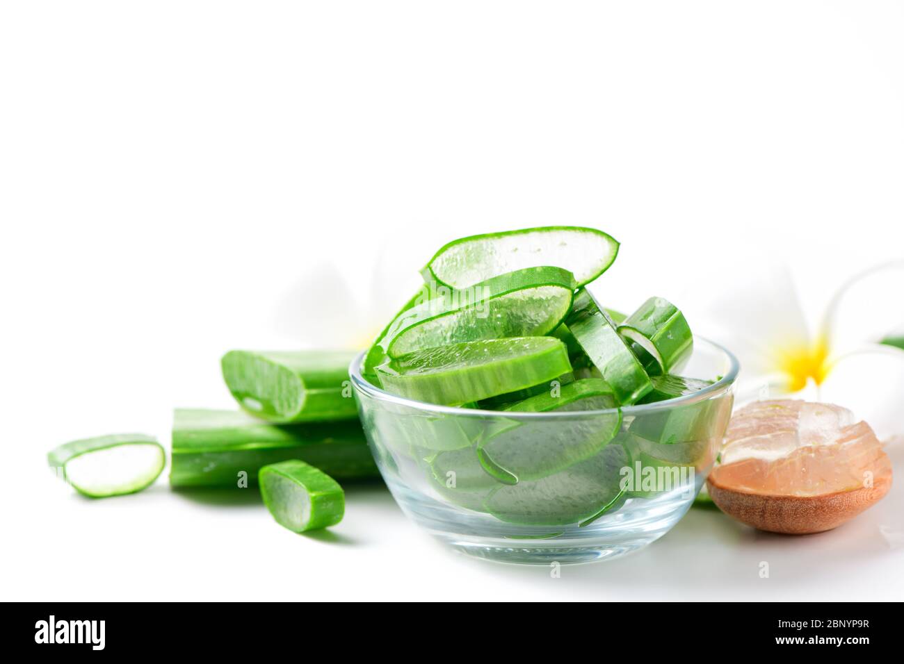 gesichtspflege aloe vera ALODERMA Aloe Vera Skin Hydrator