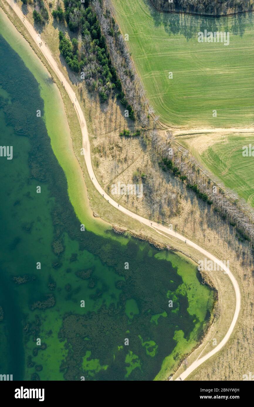 Luftaufnahme des Fahrradwegs zwischen grünen Feldern und See. Öffentlicher Park im Frühjahr Stockfoto