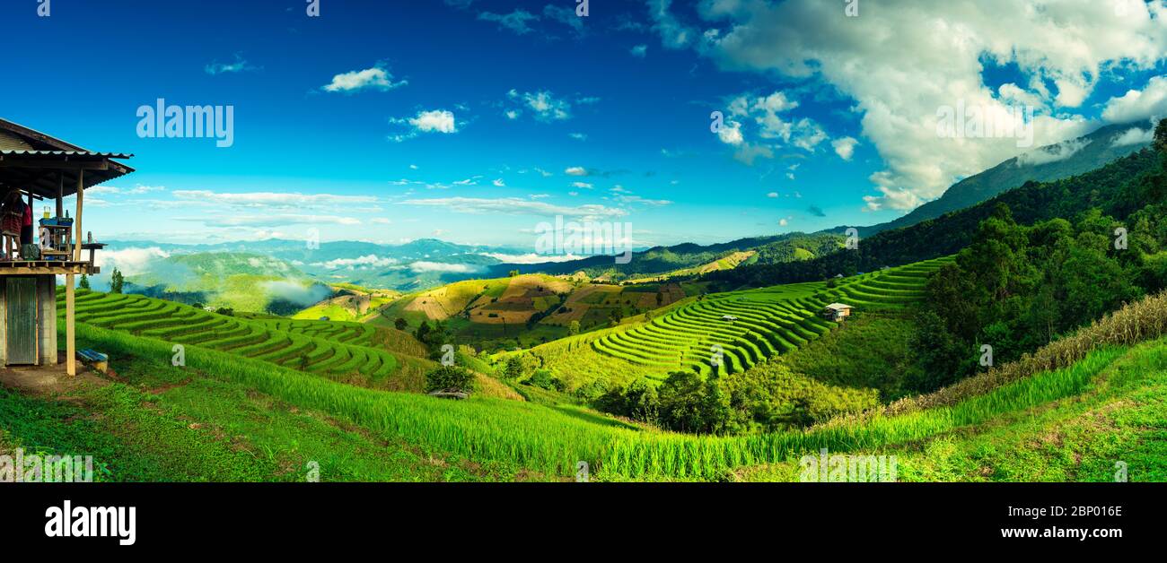 Panorama schöne Reisterrassen vor der Kulisse der malerischen Berg im Nebel. Beliebte berühmte Attraktion und Reiseziel in Asien. Stockfoto