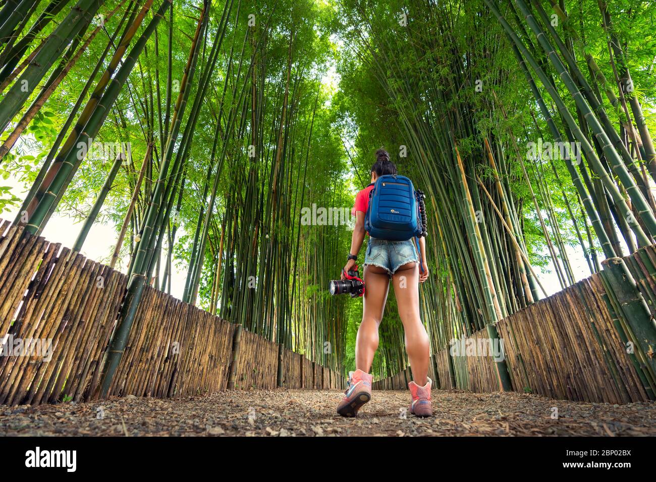 Active Lifestyle travel Frau mit Rucksack und Kamera in der Hand erkunden Bamboo Forest in Thailand. Beliebte Reiseziele in Asien. Stockfoto