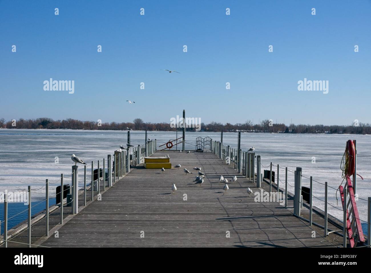 Toronto Kanada - 24. März 2015 - Toronto Inner Harbour mit Eis bedeckt Stockfoto