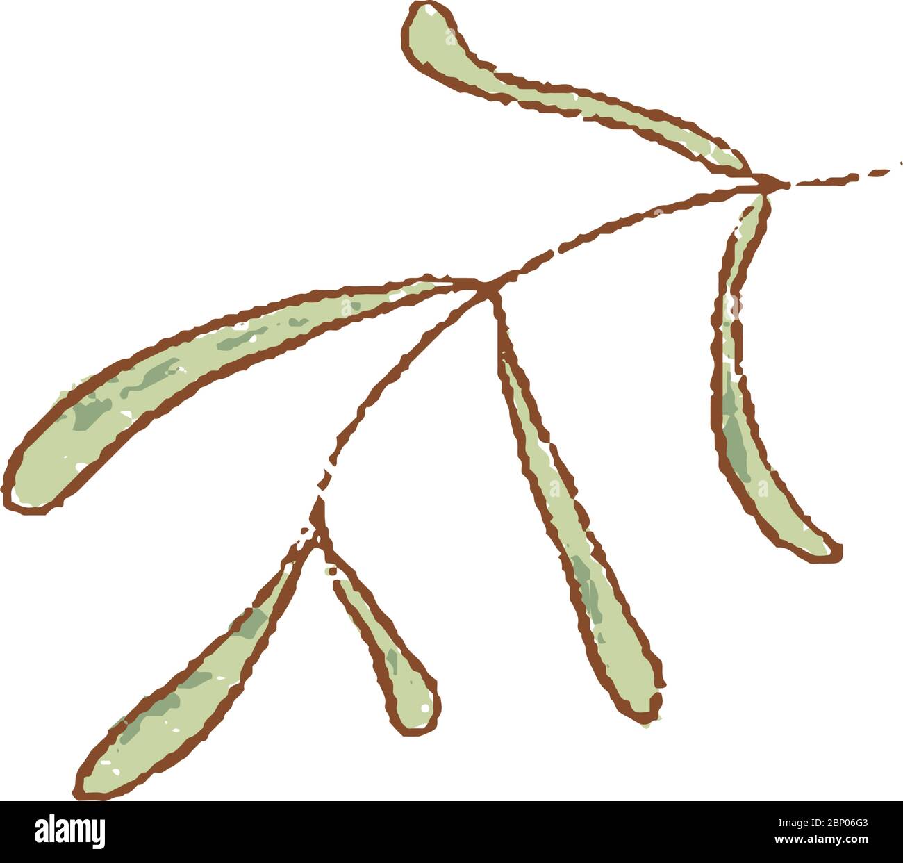 Frisch grün Estragon Zweige isoliert Symbol. Frühling Rareripes. hastings, Bauernmarkt, Vektor-Illustration. Handgezeichneter Jahrgang Stock Vektor