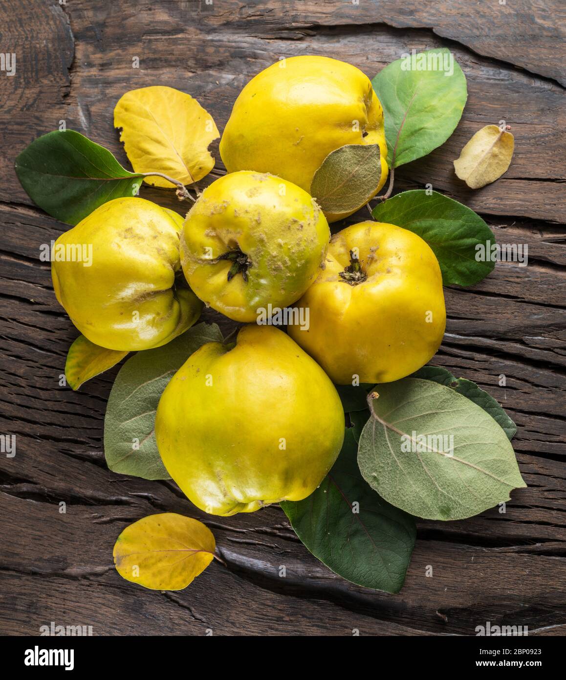 Reife goldgelbe Quinzfrüchte auf Holz. Organische Früchte auf altem Tisch. Draufsicht. Stockfoto