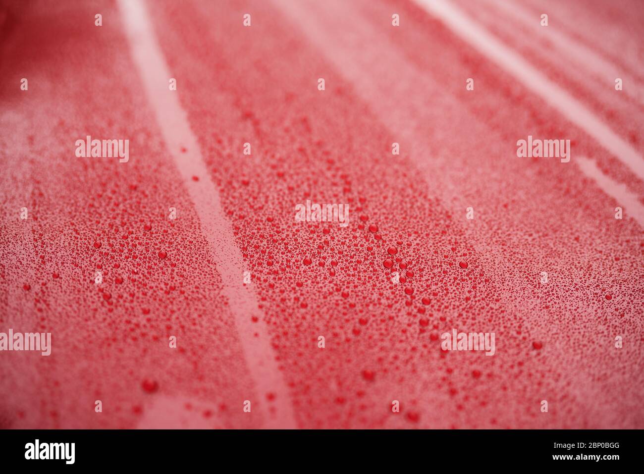 Closeup rote Autolackoberfläche mit hydrophober Keramikbeschichtung Stockfoto