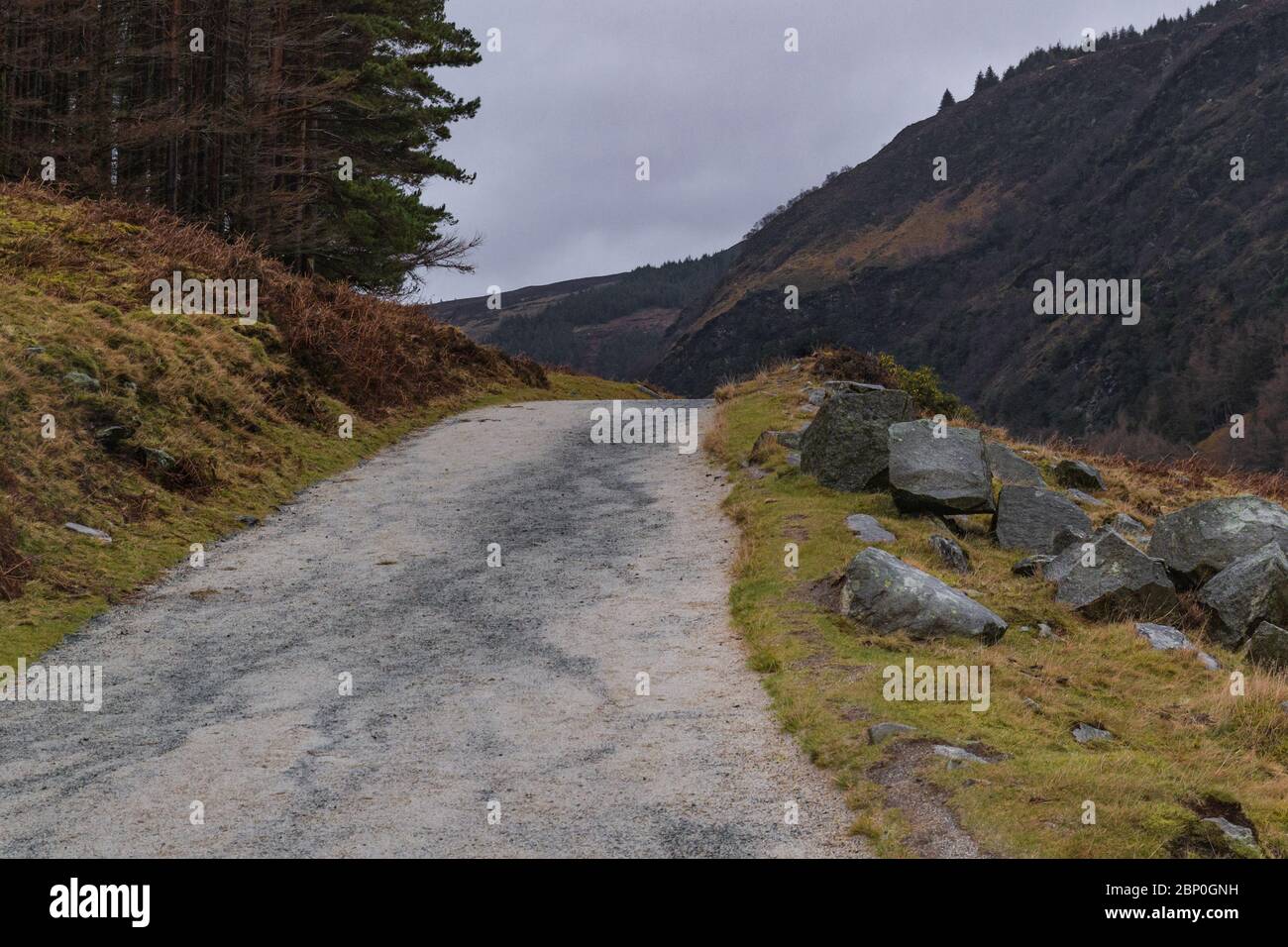 Straße in Glendalough, Wicklow, Irland. Gelb und ornage Grasfeld mit Bergen im Hintergrund. Winter in Wicklow. Stockfoto