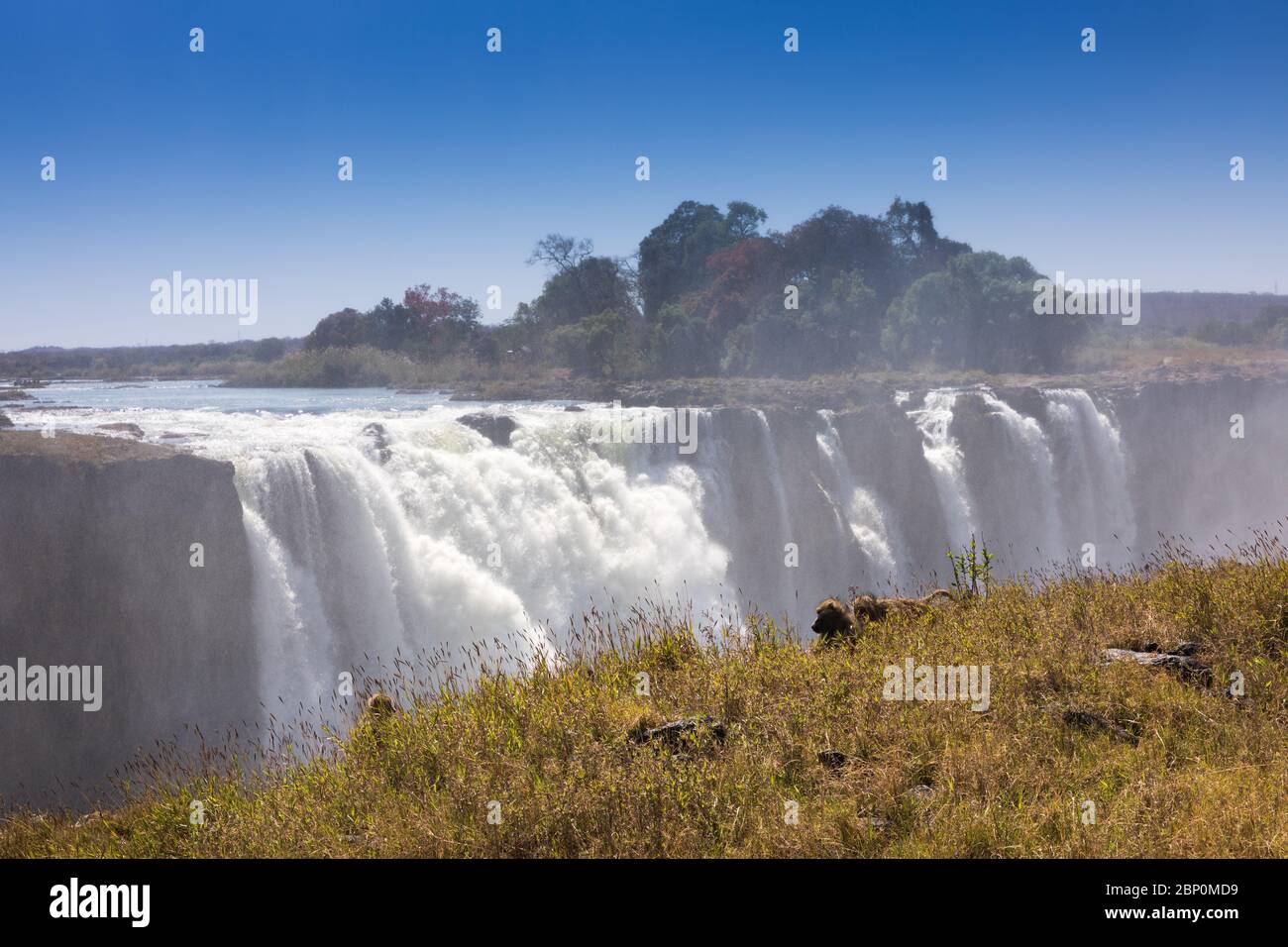 Victoria fällt im September, Simbabwe Stockfoto