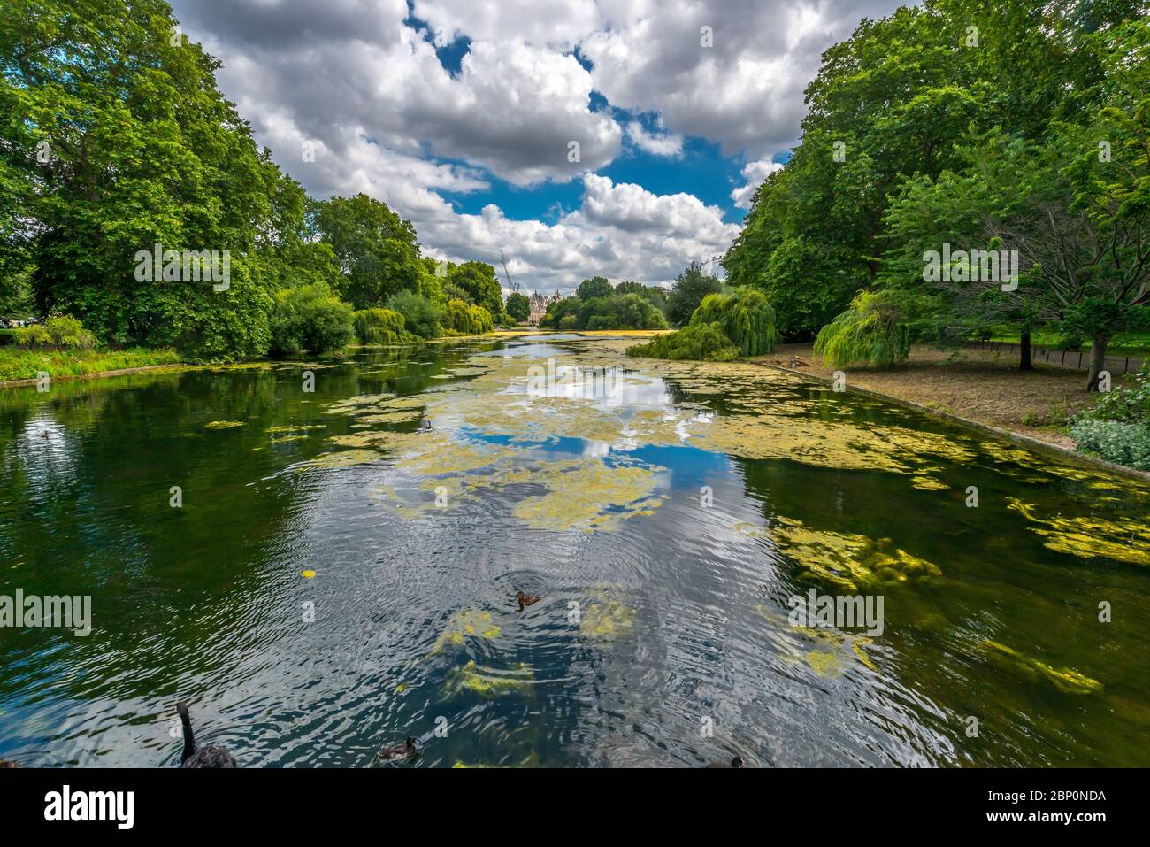 London-St. James Park, ein üppiger grüner Stadtpark in Westminster mit viel von exotischen Blumen Stockfoto