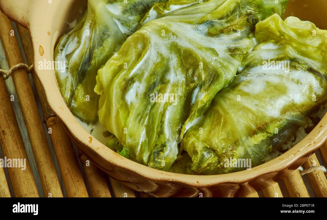 Hamsi dolmas, - Sardelle türkische Kohl dolma Nahaufnahme Stockfoto