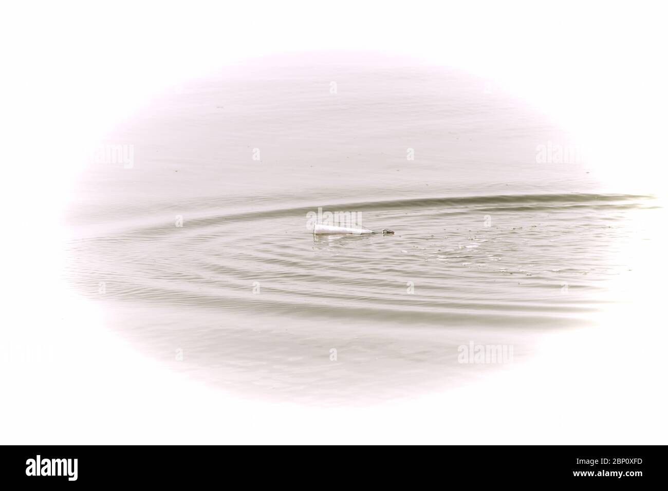 Blick auf eine Botschaft in einer Flasche in der Nordsee mit schönen Wasserkreisen Stockfoto