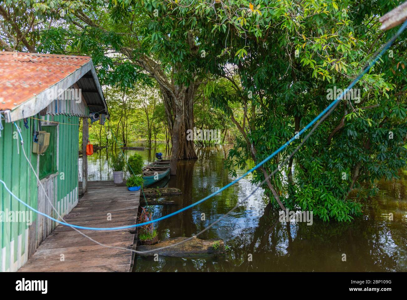 Amazonas bei Manaus, Amazonas, Brasilien, Lateinamerika Stockfoto