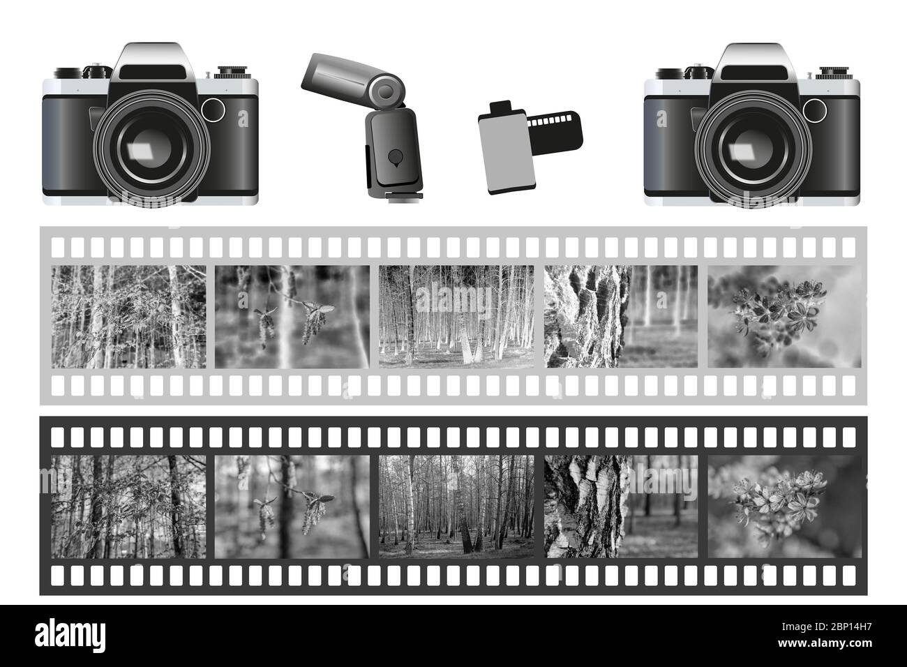 Analogkamera, Blitzlampe, 35-mm-Filmrolle, Schwarzweiß-Negativ und Dia. Collage mit Fotoausrüstung. Retro-Fotografie. Monochromer Clipart von a t Stockfoto