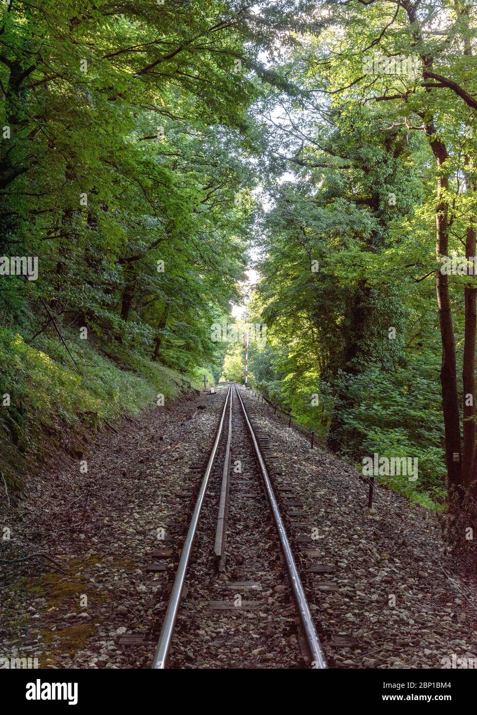 Die Schienen der Kinderbahn in den Budaer Hügeln Stockfoto