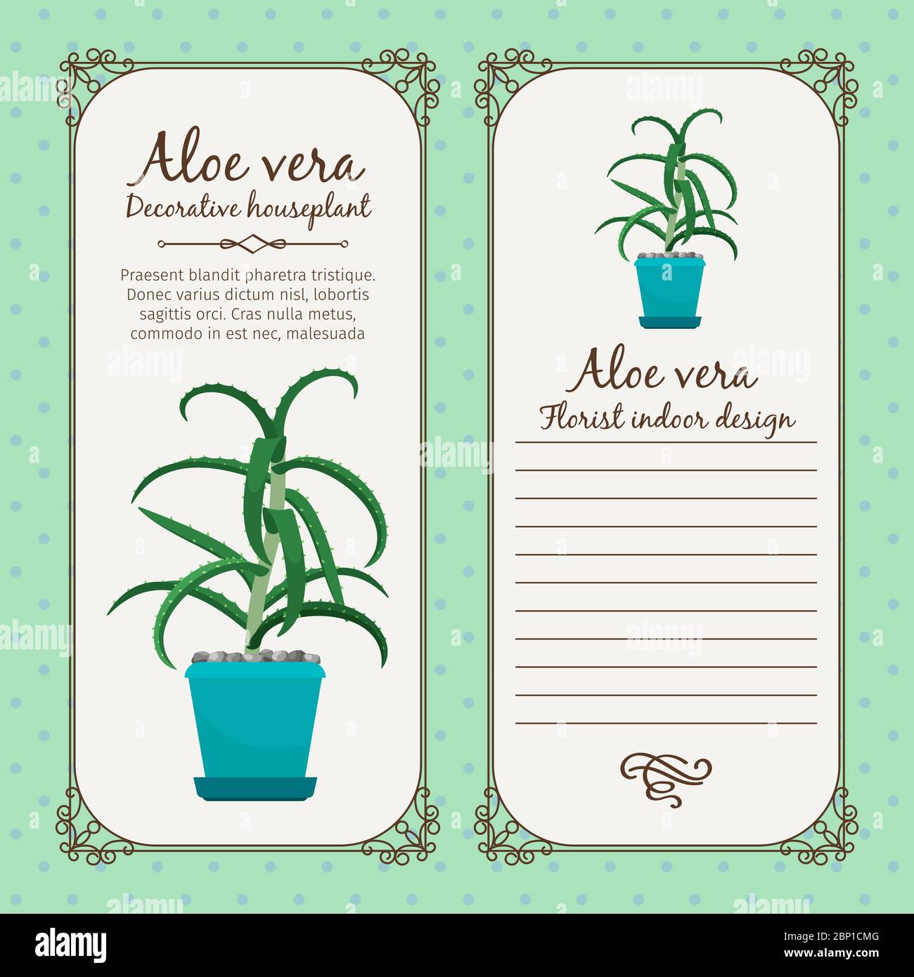 Vintage Label Vorlage mit dekorativer Aloe Vera Pflanze im Topf, Vektor-Illustration Stock Vektor