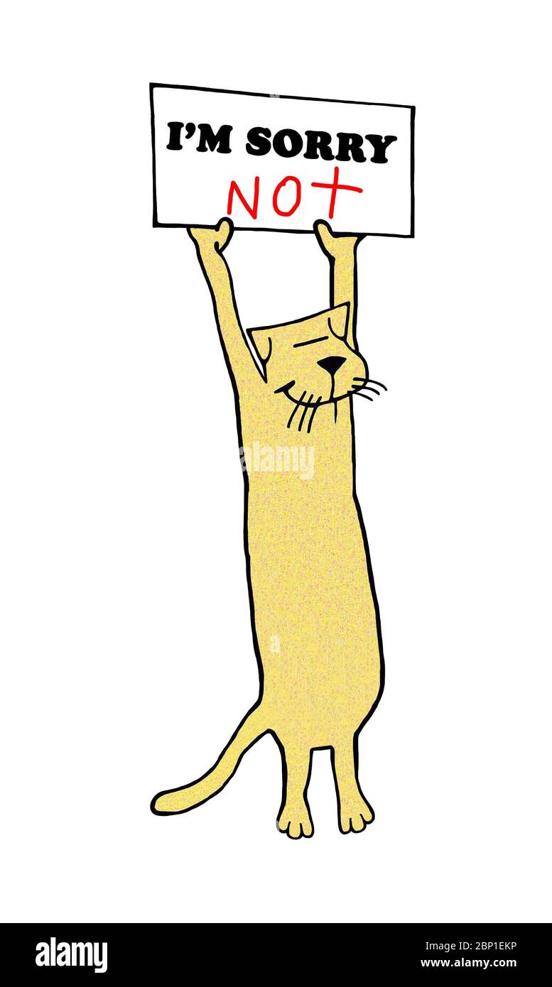 Eine gelbe Katze hält ein Schild, das liest, ich BEDAURE NICHT mit einem lächelnden Gesicht Stockfoto