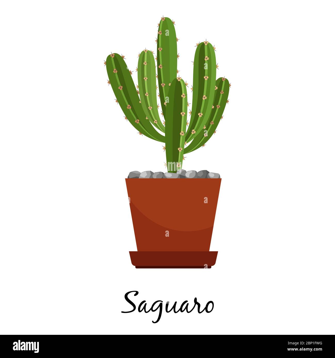 Saguaro Kaktus in Topf isoliert auf dem weißen Hintergrund, Vektor-Illustration Stock Vektor