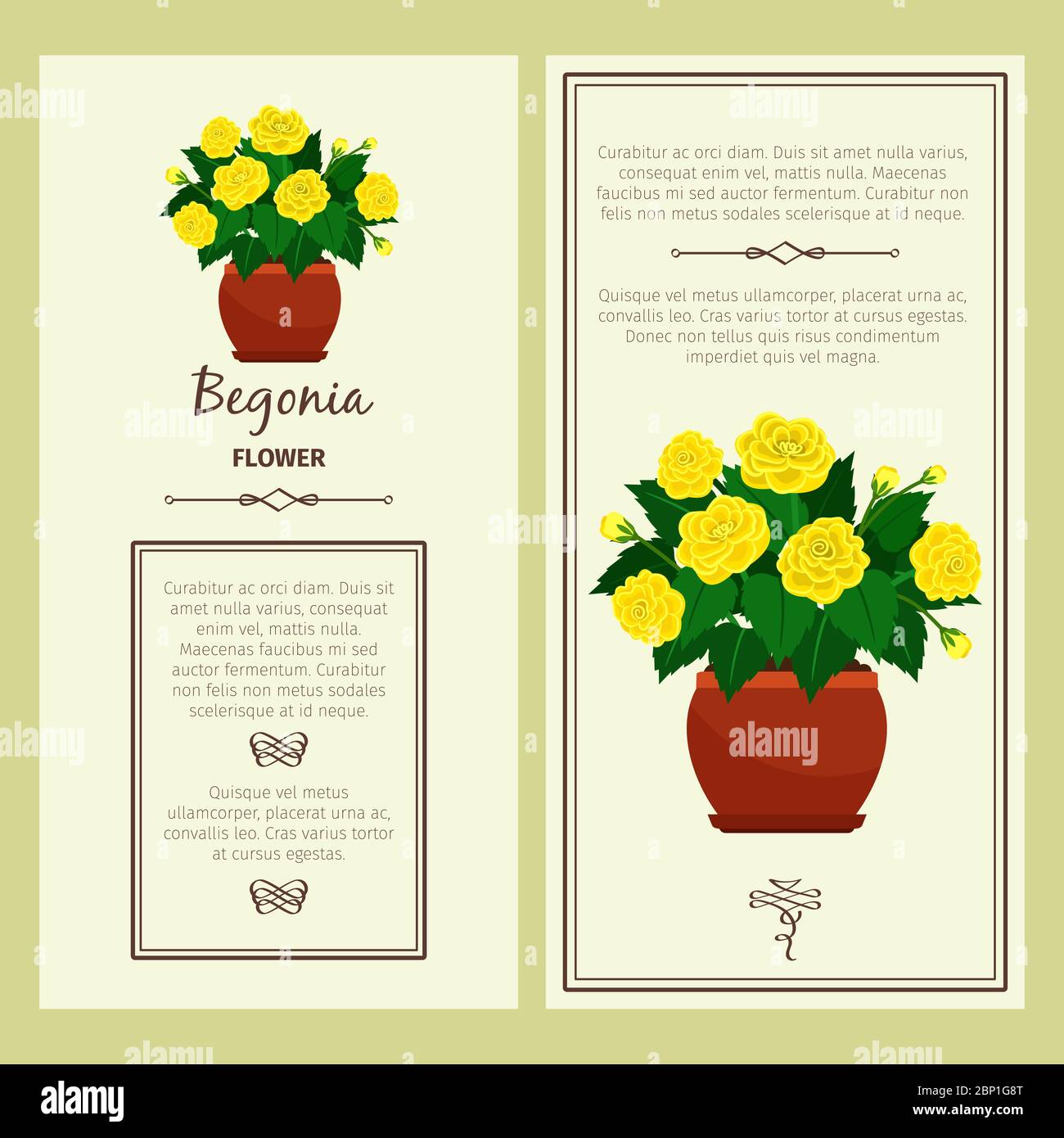 Grußkarte mit dekorativer Begonia-Pflanze, quadratischer Rahmen. Vektorgrafik Stock Vektor