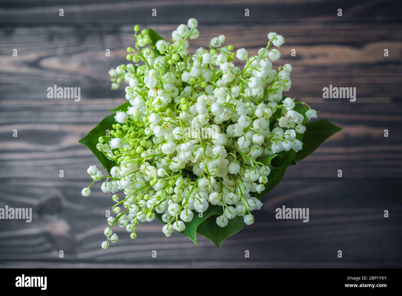 Maiglöckchen Blumen, auf Holzhintergrund. Selektiver Fokus Stockfoto