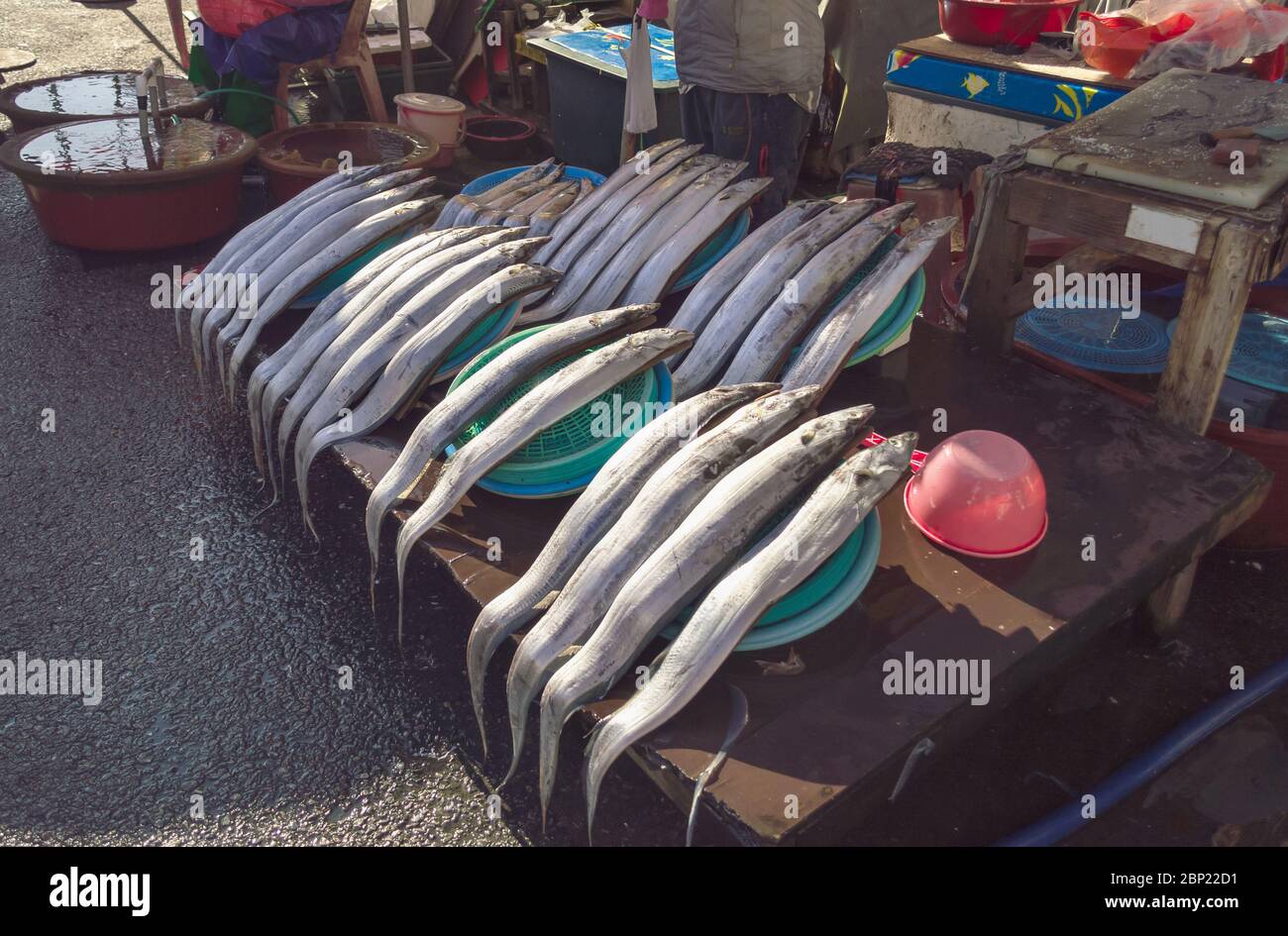 Frisur Fisch zum Verkauf in Busan in der Nähe Jagalchi Fischmarkt Stockfoto