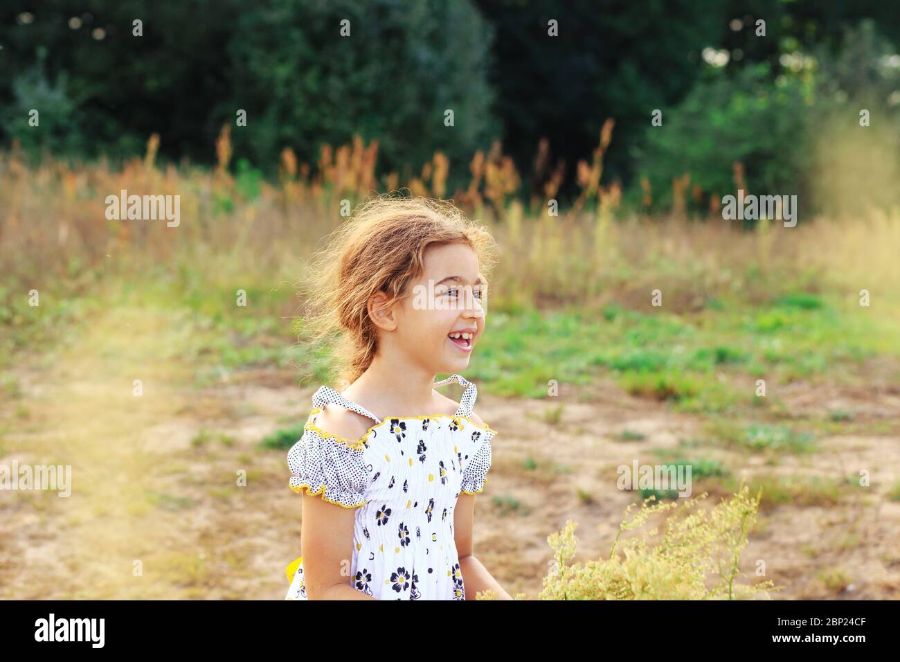 Porträt von lächelnd schöne kleine Mädchen auf der Wiese am Sommertag. Stockfoto