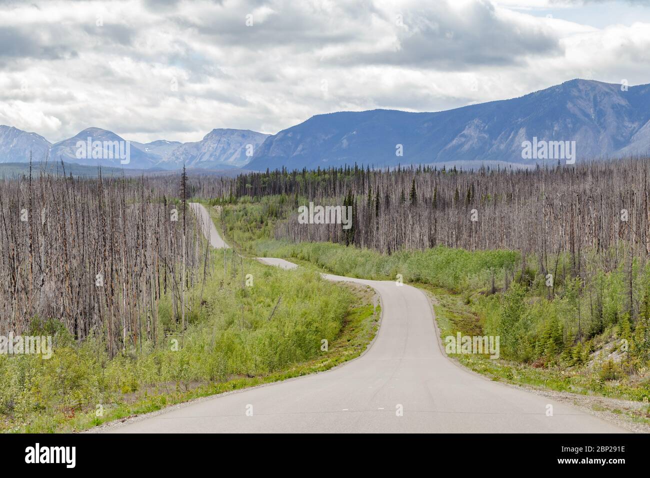 Landschaftlich reizvolle Straße durch die Bergkette von British Columbia, Kanada Stockfoto